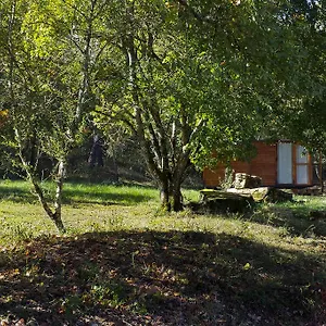  Campeggio Agricampeggio Madonna Di Pogi Italia